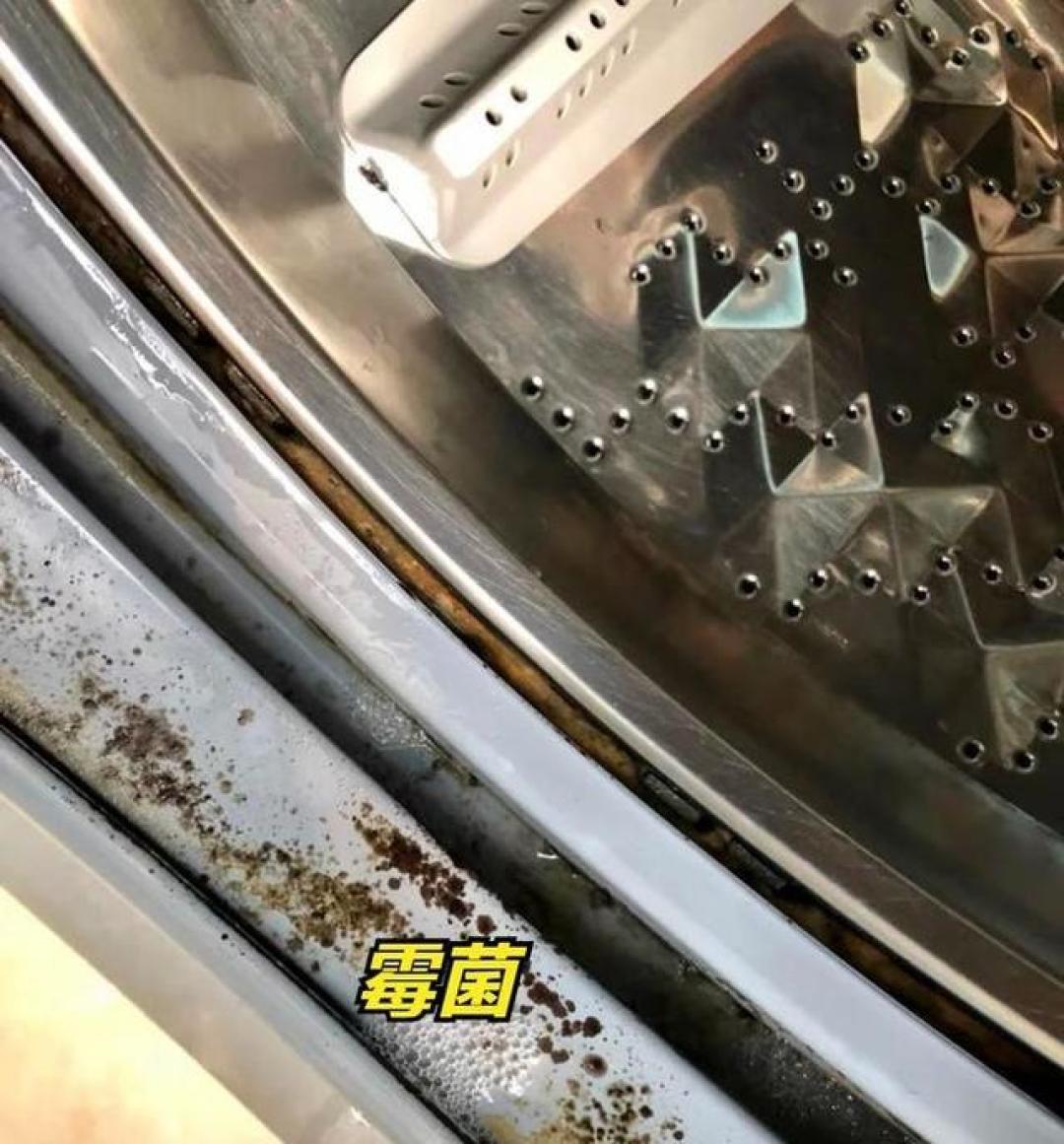 波轮还是滚筒?双11买洗衣机,谁洗、放哪、搬不搬家比洗净比更重要