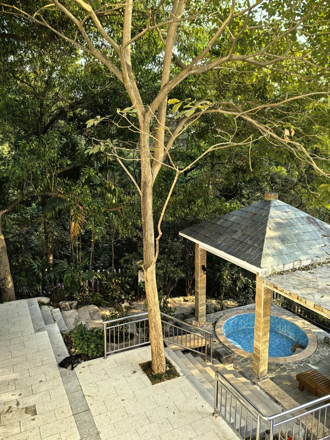 清远银盏君澜：真温泉、老派配套、翻新两年后的实话