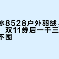 同款黑冰8528户外羽绒,五月八百多,双11券后一千三上下:囤还是不囤?