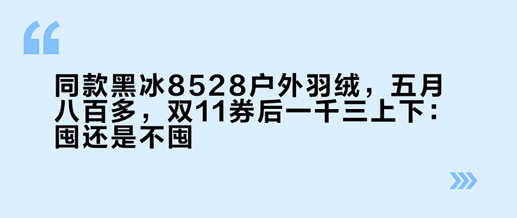 同款黑冰8528户外羽绒，五月八百多，双11券后一千三上下：囤还是不囤？