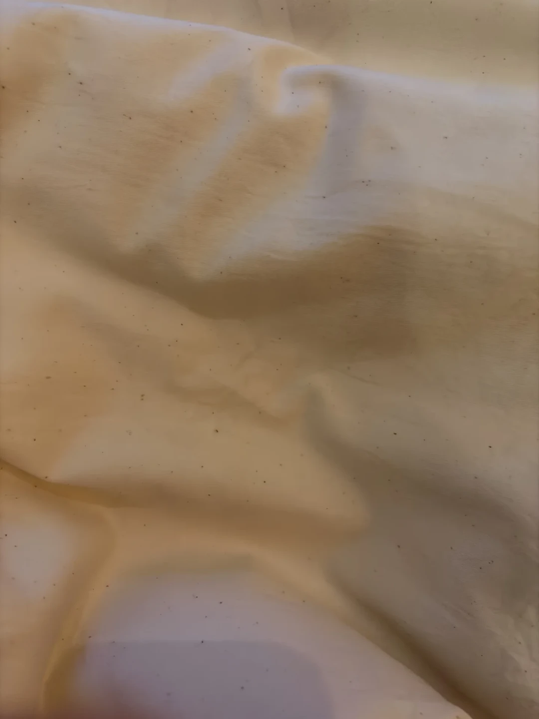 亚朵的床单上缝了根胡萝卜?发黄、有黑点、摸着硬——对完1.9万赞爆帖、门店解释和暗访通报,这波床品误会我一次掰清
