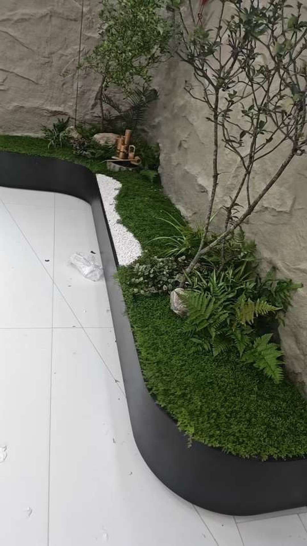猫家庭抄绿植造景模板:8种植物里3种要换,9个认错名的坑和啃完后的18小时