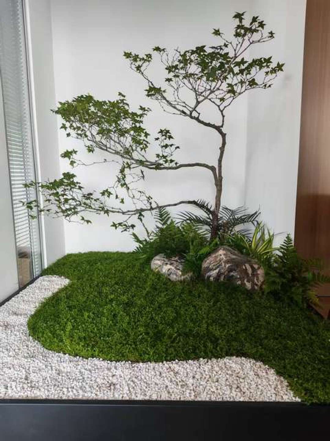 猫家庭抄绿植造景模板:8种植物里3种要换,9个认错名的坑和啃完后的18小时