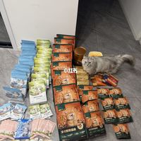 赠品整箱到货、工学椅横评集中上线 | 网易严选10.23日报