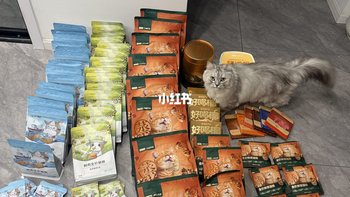 赠品整箱到货、工学椅横评集中上线 | 网易严选10.23日报