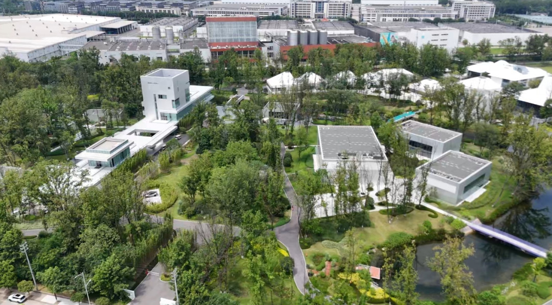 229元的崃州,对上两百上下的格兰多纳12:双11买第一批国产威士忌,先看背标这四项