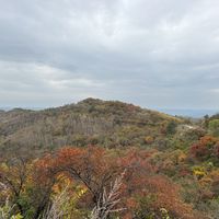 穿冲锋衣像要去爬山？今年的户外潮搭都在学做减法