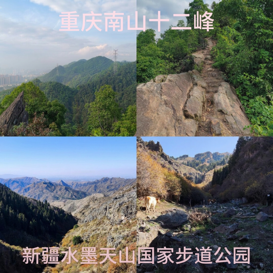 这个秋冬,迪卡侬被人报着货号买:8件尖货,3个坑