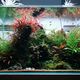 「全场3折起」撞上「蹲了半个月没力度」：双11水族造景器材党，下单前先把价梯、便宜、退路这三本账对完