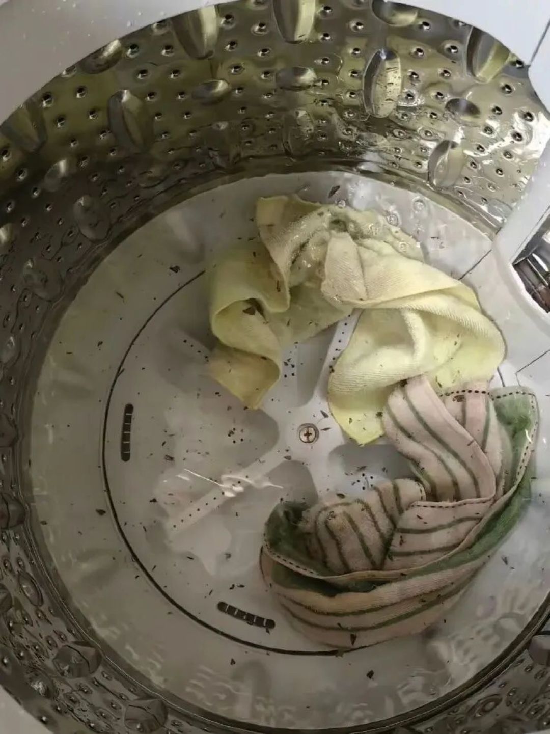 洗衣机槽清洁剂是智商税?疾控把它写进指南,但它只管“泡得到”的脏