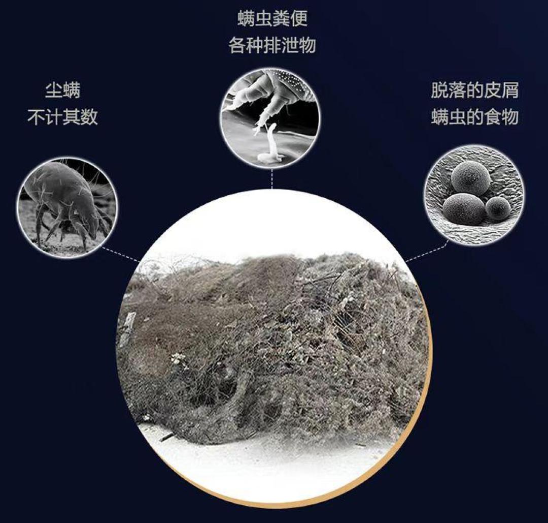 布艺清洗机值不值?翻完80条真实评论:主角不是机器,是你