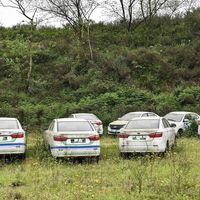 车企没了，85万辆新能源“孤儿车”怎么修？