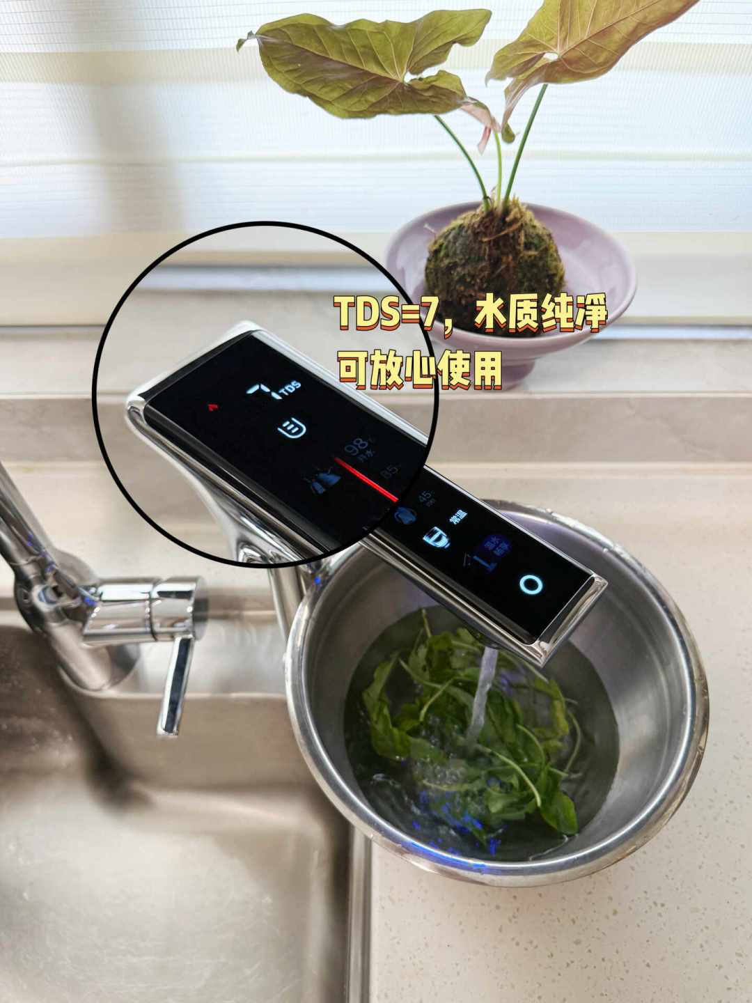 小红书教你选净水器的