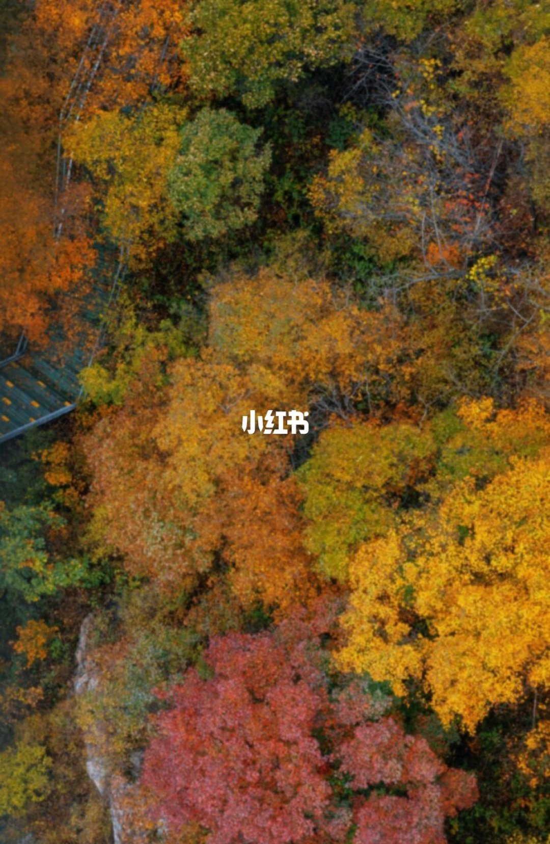 三水线