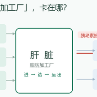 吃护肝片的人注意了:脂肪肝的根子在肝代谢,3个月这样减有惊喜