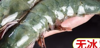 青岛大虾鲜活新鲜冷冻海鲜单只冻虾超大整箱海虾青虾对虾基围虾