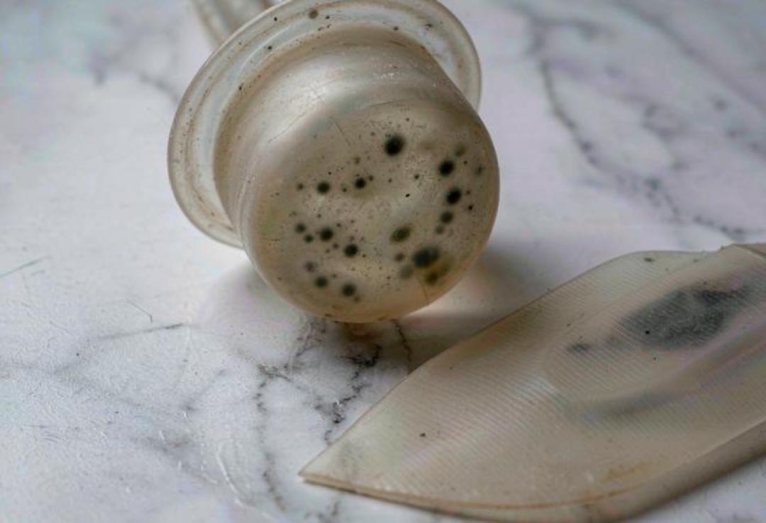孩子保温碗摔开满是霉,水都臭了:天冷翻出杯子前,先查杯盖里那圈胶