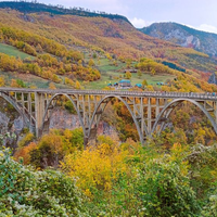 免签开始“挑人”：黑山11月1日关门，芽庄免签只认跟团
