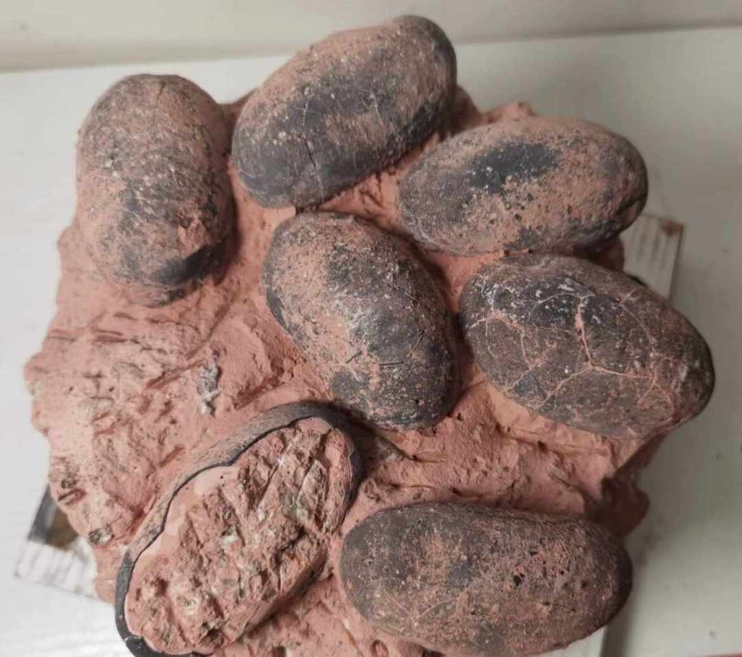 你捡的