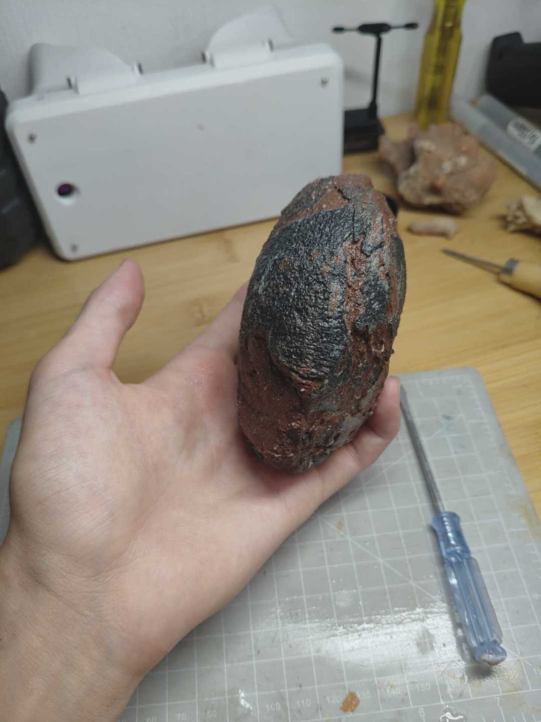 你捡的