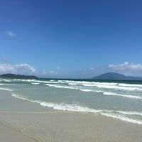 芽庄免签团刚开放，大部分人卡在第3条：越南的3种入境方式和冬春季价格，一次算清