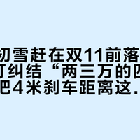内蒙古初雪赶在双11前落地：SUV下订纠结“两三万的四驱钱”，先把4米刹车距离这笔账对完