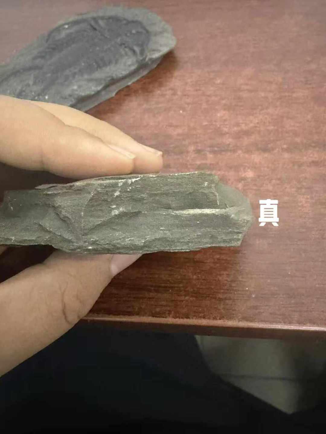 慕容街“假鱼化石”帖吵翻149条评论：先分清你手里那块石板的三种“身份”