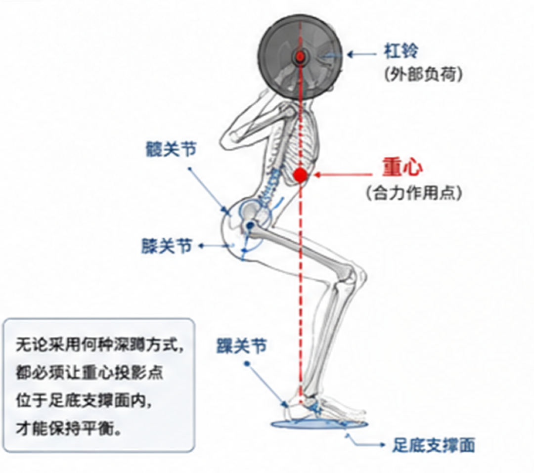 柳叶刀子刊：中国成人43.7%有脂肪肝，光靠走路够吗？