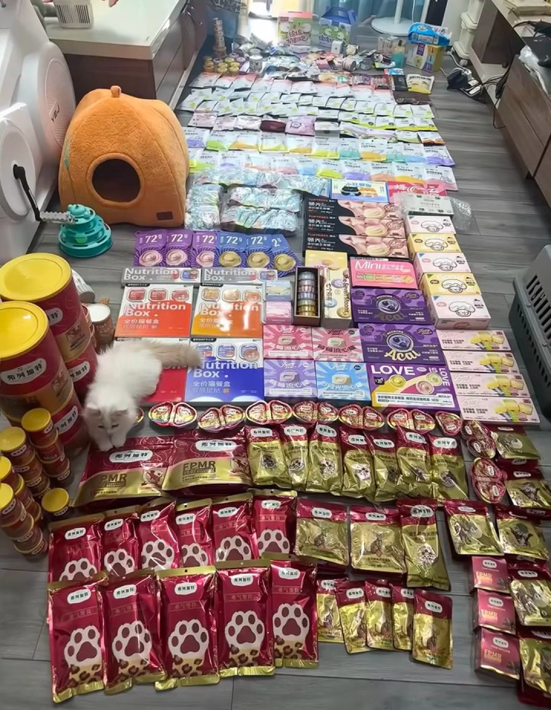 平时366,凑完483:这个双11,囤猫粮越算越贵