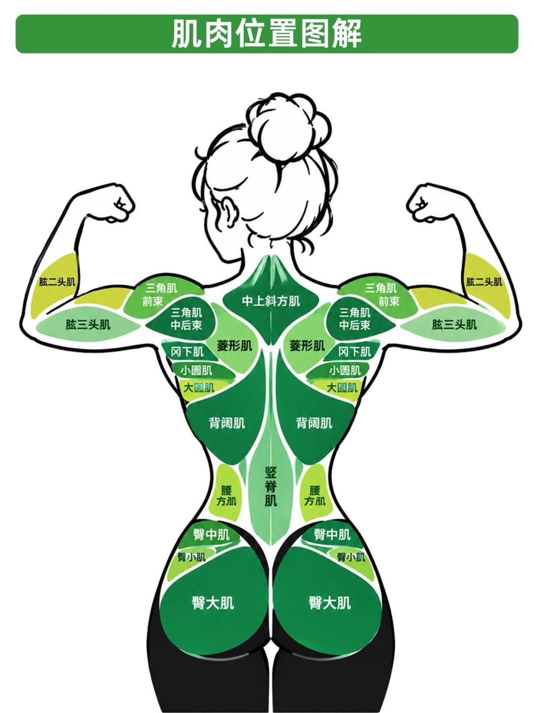 抗阻运动冲上热搜前，先把“存肌肉”的三笔账算清楚：4周研究测的是50~65岁久坐者的血项，不是你的腰线