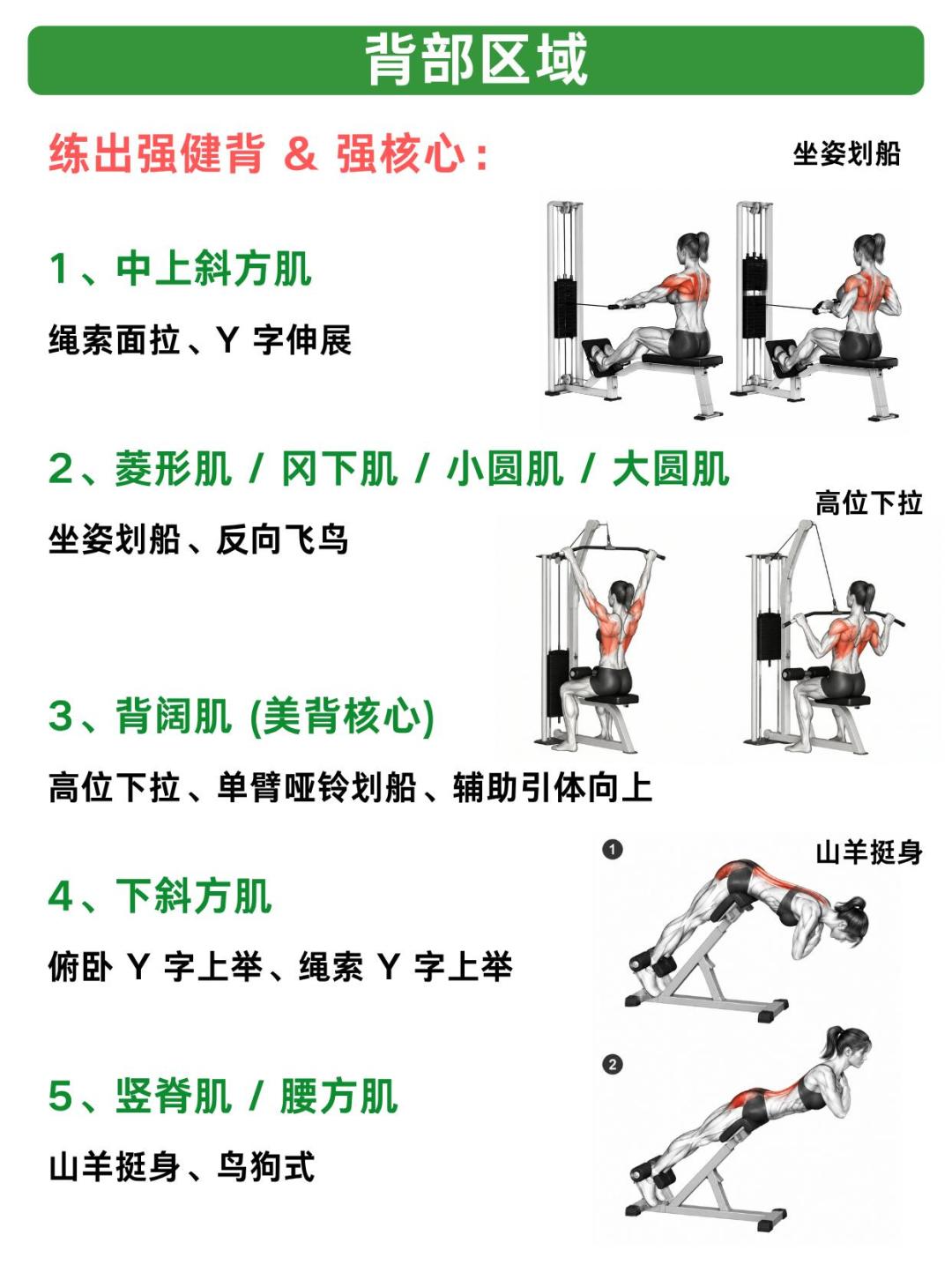 抗阻运动冲上热搜前，先把“存肌肉”的三笔账算清楚：4周研究测的是50~65岁久坐者的血项，不是你的腰线