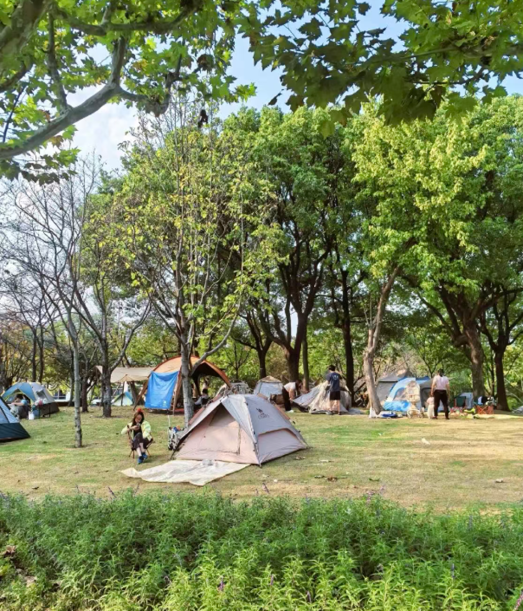 闵行体育公园焕新归来:免费沙滩+彩虹滑道,2-12岁都有的玩