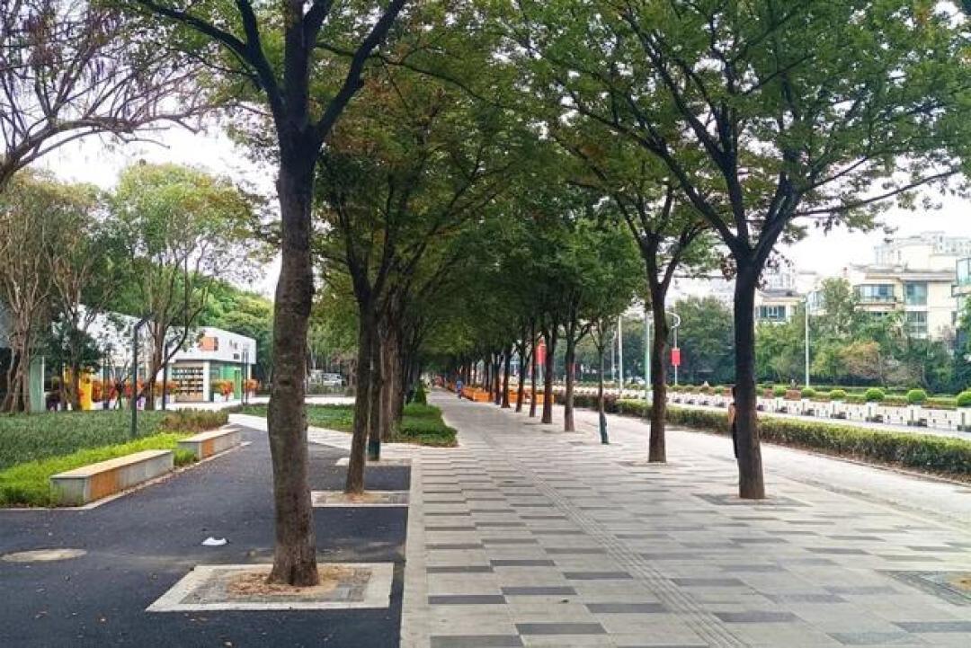 闵行体育公园焕新归来:免费沙滩+彩虹滑道,2-12岁都有的玩