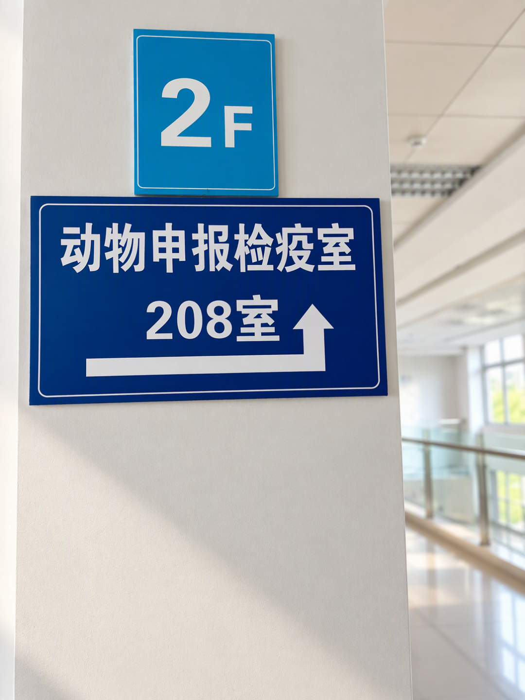 全国170座高铁站、420趟列车能托宠物了：春运把毛孩子带回家之前，先对完这四笔账
