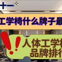 双十一人体工学椅什么牌子最好用？人体工学椅品牌排行
