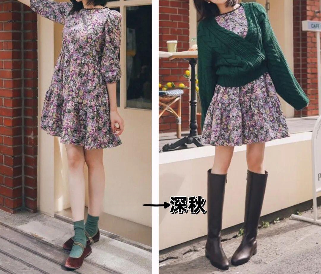 收藏的