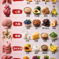 全身器官饮食养护指南