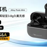 Nakamichi 中道 Alloy Pods Mini 实测 半入耳轻巧好听通勤耳机