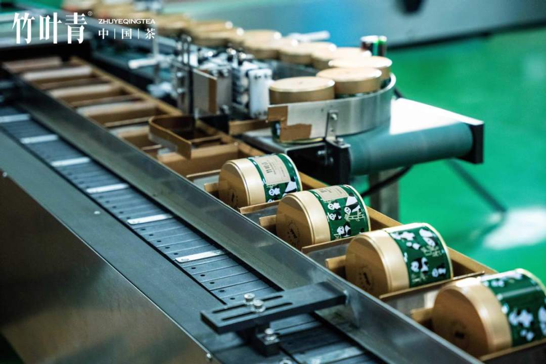 竹叶青别用沸水闷着泡了,难怪你泡的没店里好喝