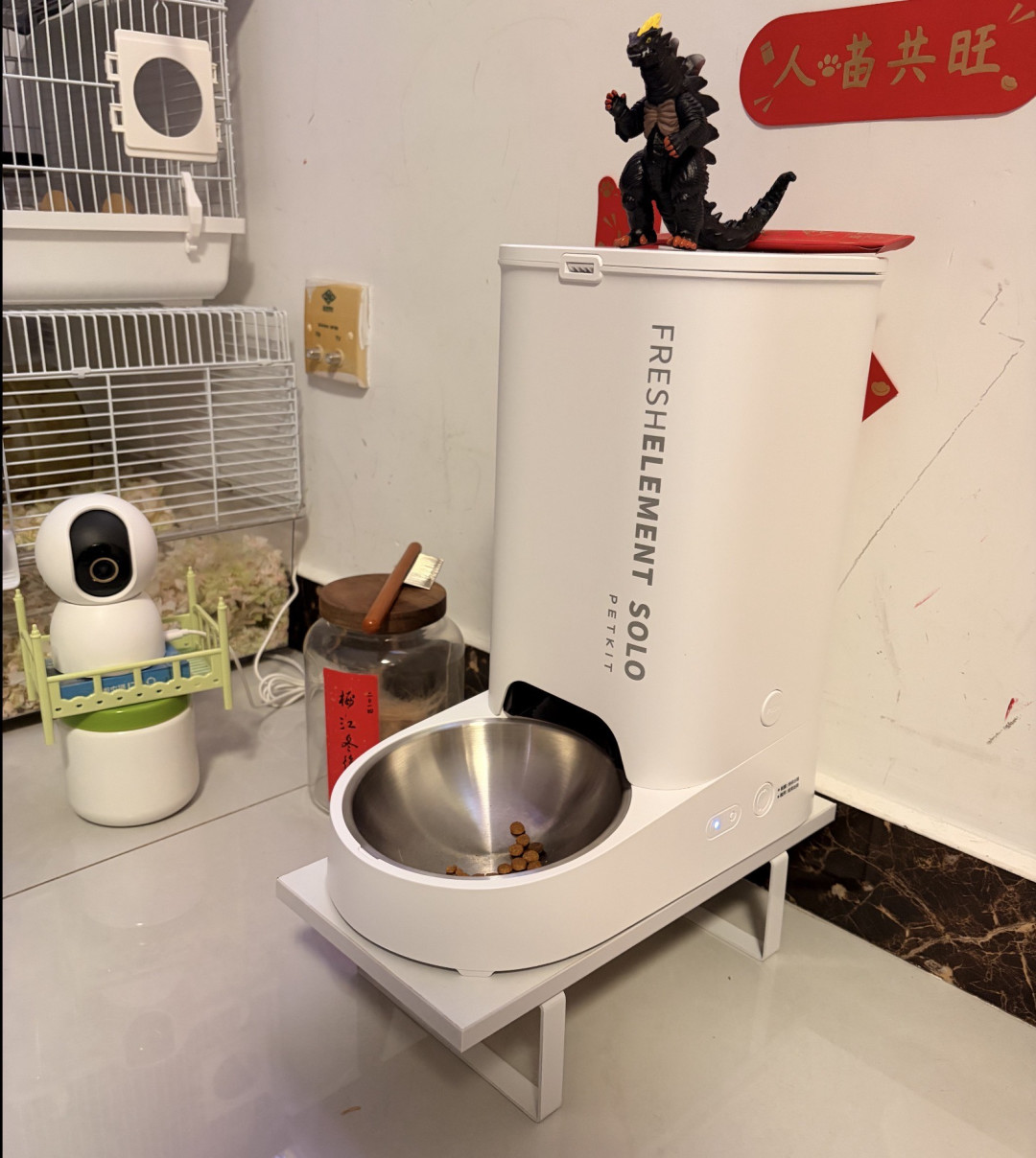用户称"App显示喂食成功"，猫实际饿了整整一天：双11买喂食器前，先核对这三处