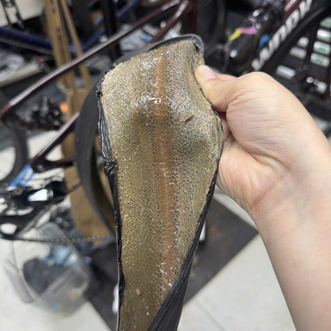 马牌上新波加查联名胎送手办,GP5000与米其林镜像帖评论区互撕:双11换外胎前,先把湿地、寿命、价差、安装四笔账对完
