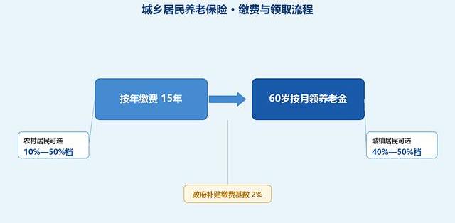 岳母60岁差4年才缴满：多掏910元的路，我算完选了它