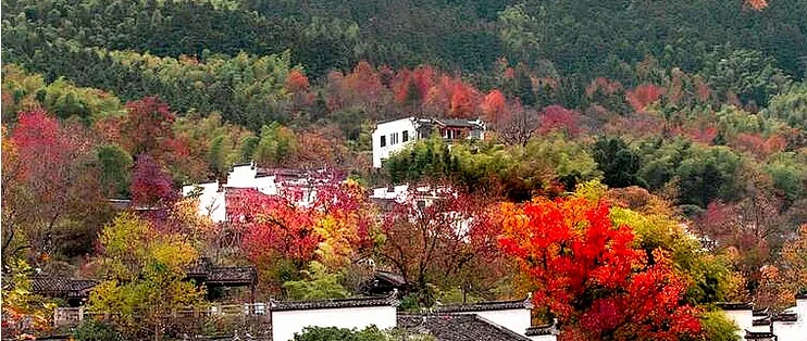 塔川只红15天！带娃3天2晚，免票新规+免费机位全排好