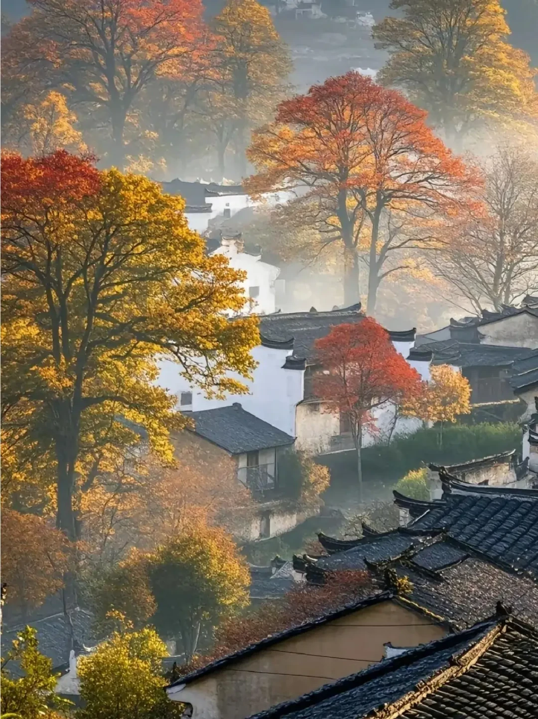 塔川只红15天!带娃3天2晚,免票新规+免费机位全排好