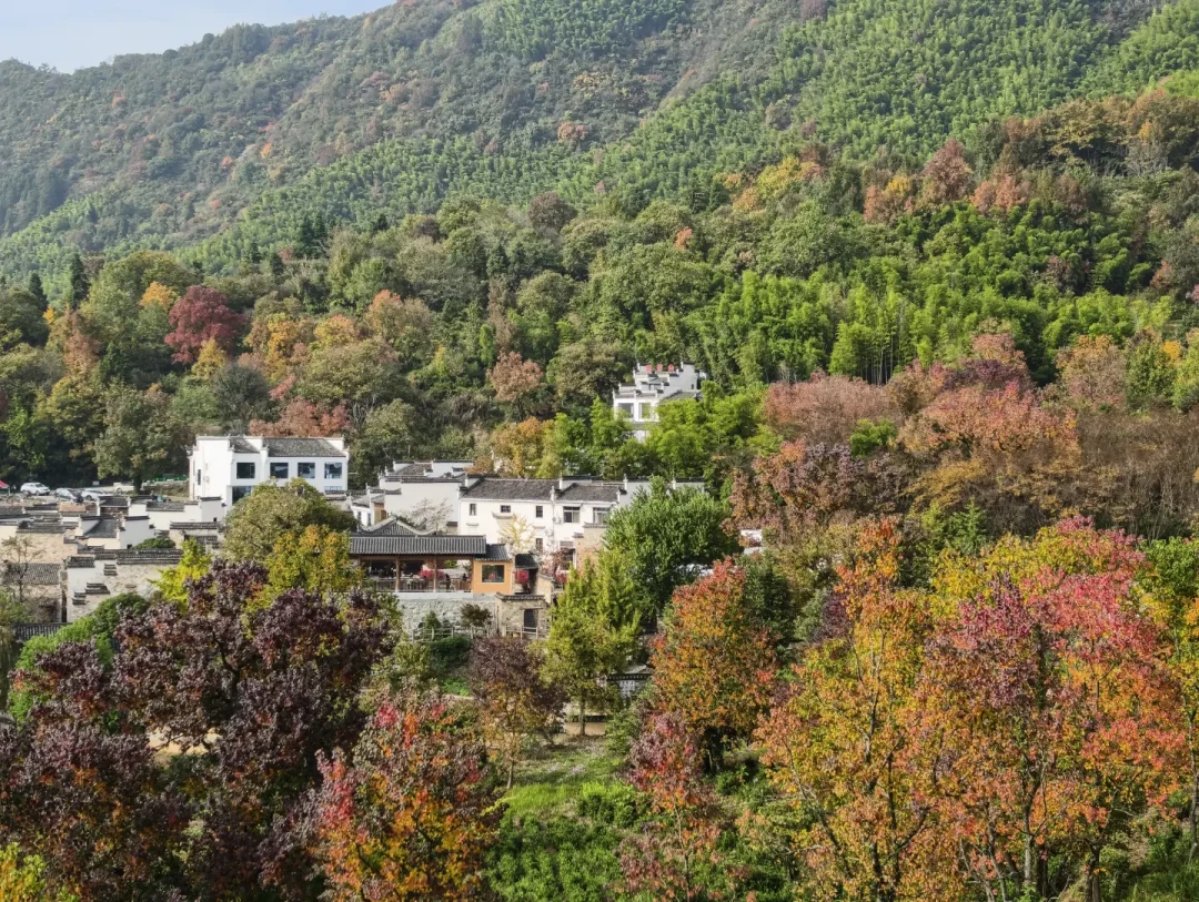 塔川只红15天!带娃3天2晚,免票新规+免费机位全排好