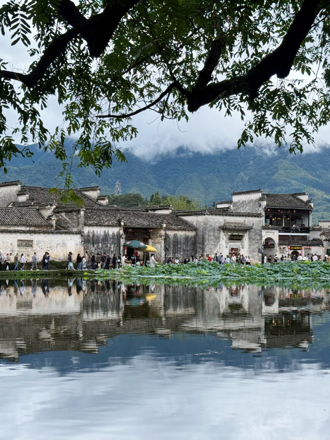 塔川只红15天!带娃3天2晚,免票新规+免费机位全排好