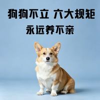 养狗养不亲？多半是这6条规矩没立住！越有边界的狗越粘人