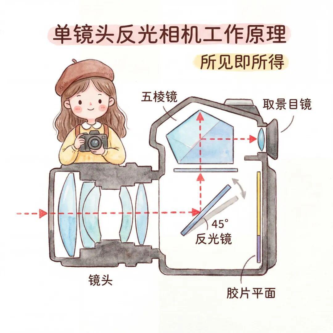 胶片单反翻红：500块AE-1成入门首选，这三笔账先算清