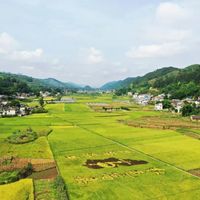70度高洲秋酿，被酒友用电子秤玩明白了：兑水、勾调、当调味酒