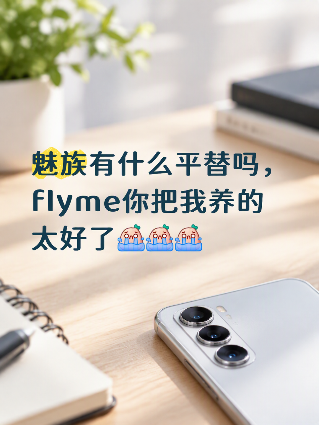 魅族20用户双11前为换机吵翻:Flyme真的没平替吗?